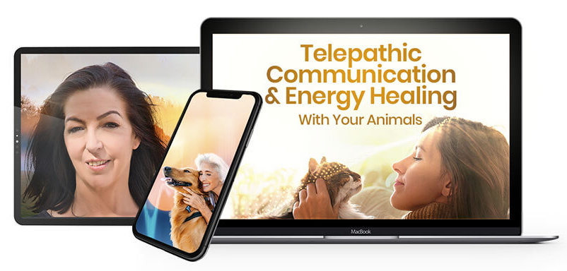 Joan Ranquet - Telepathic Communication & Energy Healing With Your Animals 2023