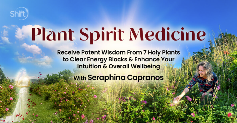 Seraphina Capranos - Plant Spirit Medicine