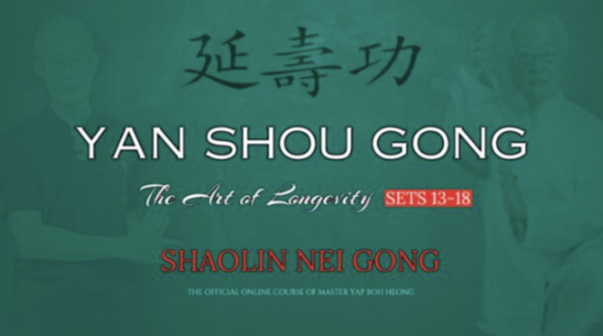 Yan Shou Gong - The Art of Longevity Sets 13-18